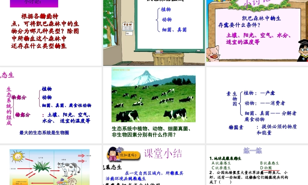 八年级生物下册 第23章 第1节 生态系统概述课件 北师大版-北师大级下册生物课件