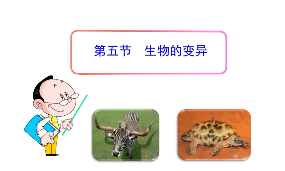 八年级生物下册 第八单元 生物的生殖、发育与遗传 第二十二章 生物的遗传和变异 第五节 生物的变异课件3（新版）苏教版-（新版）苏教版初中八年级下册生物课件