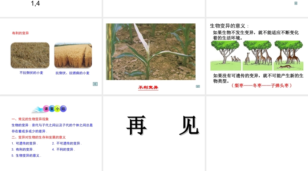 八年级生物下册 第八单元 生物的生殖、发育与遗传 第二十二章 生物的遗传和变异 第五节 生物的变异课件3（新版）苏教版-（新版）苏教版初中八年级下册生物课件