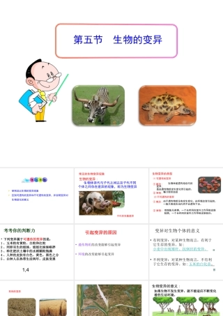 八年级生物下册 第八单元 生物的生殖、发育与遗传 第二十二章 生物的遗传和变异 第五节 生物的变异课件3（新版）苏教版-（新版）苏教级下册生物课件