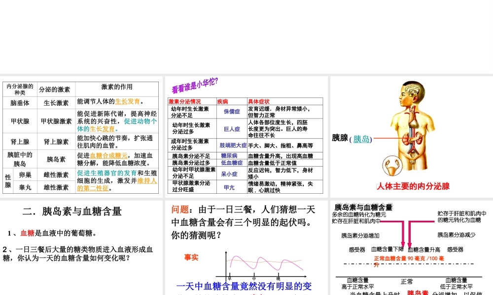 八年级科学上册 3.2 人体的激素调节（第二课时）课件 浙教版