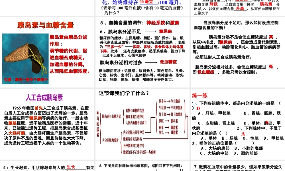 八年级科学上册 3.2 人体的激素调节（第二课时）课件 浙教版