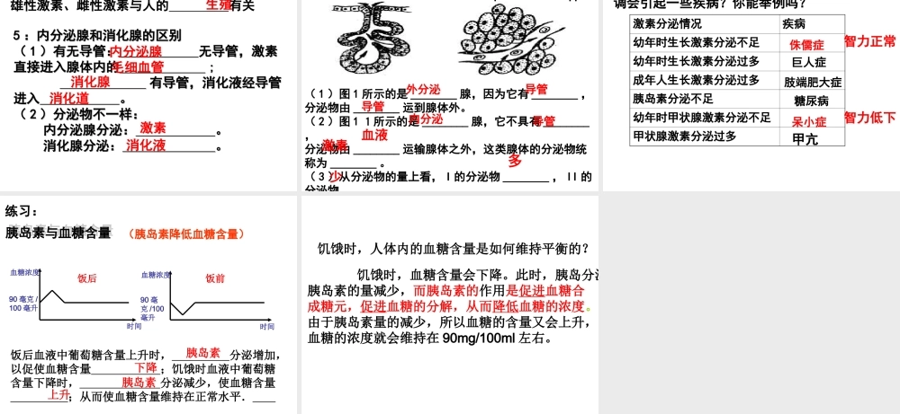 八年级科学上册 3.2 人体的激素调节（第二课时）课件 浙教版
