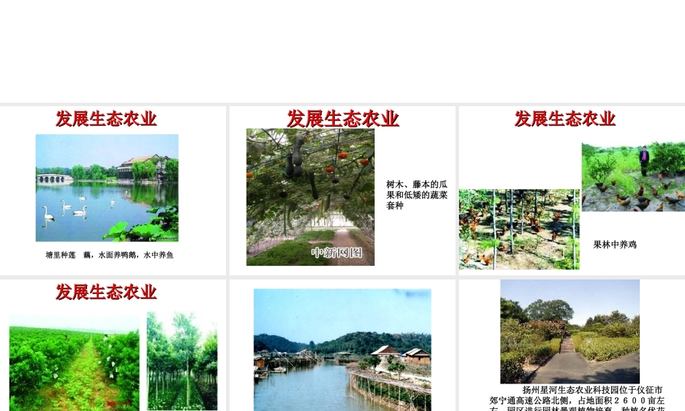 八年级生物下册 第9单元 保护人类与其他生物的公同家园 第26章 第4节《建设生态家园》课件1 （新版）苏科版-（新版）苏科版初中八年级下册生物课件