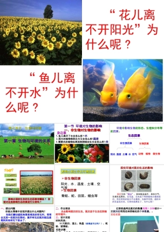八年级生物下册 第7单元 第1章 第1节 环境对生物的影响 非生物因素对生物的影响课件 （新版）冀教版-（新版）冀教版初中八年级下册生物课件