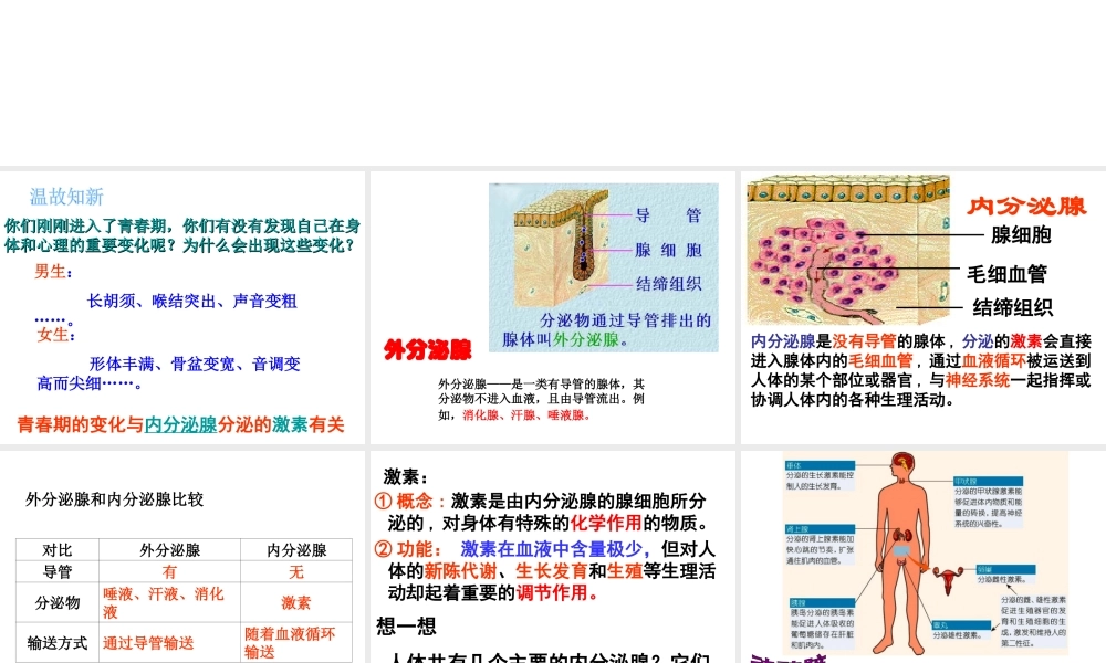 八年级科学上册 3.2 人体的激素调节（第一课时）课件 浙教版