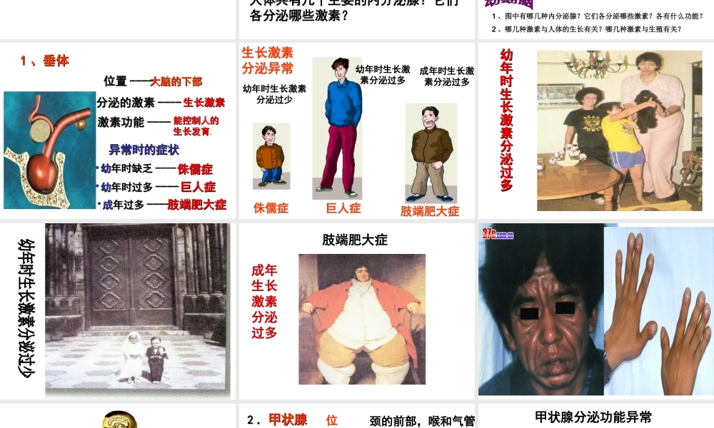 八年级科学上册 3.2 人体的激素调节（第一课时）课件 浙教版