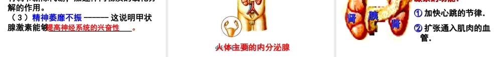 八年级科学上册 3.2 人体的激素调节（第一课时）课件 浙教版