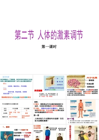 八年级科学上册 3.2 人体的激素调节（第一课时）课件 浙教版