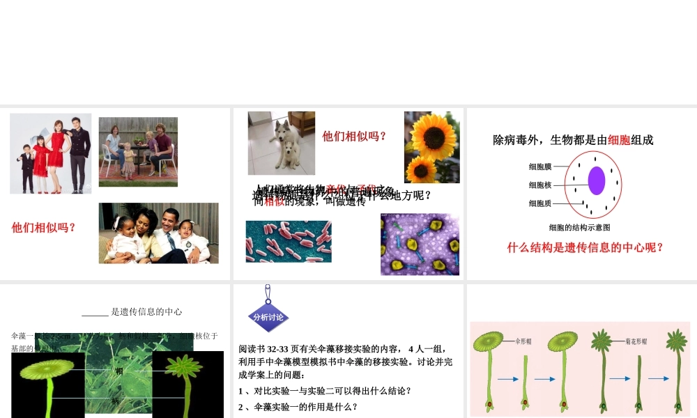 八年级生物下册 第八单元 生物的生殖、发育与遗传 第二十二章 生物的遗传和变异 第一节 DNA是主要的遗传物质课件1（新版）苏教版-（新版）苏教版初中八年级下册生物课件