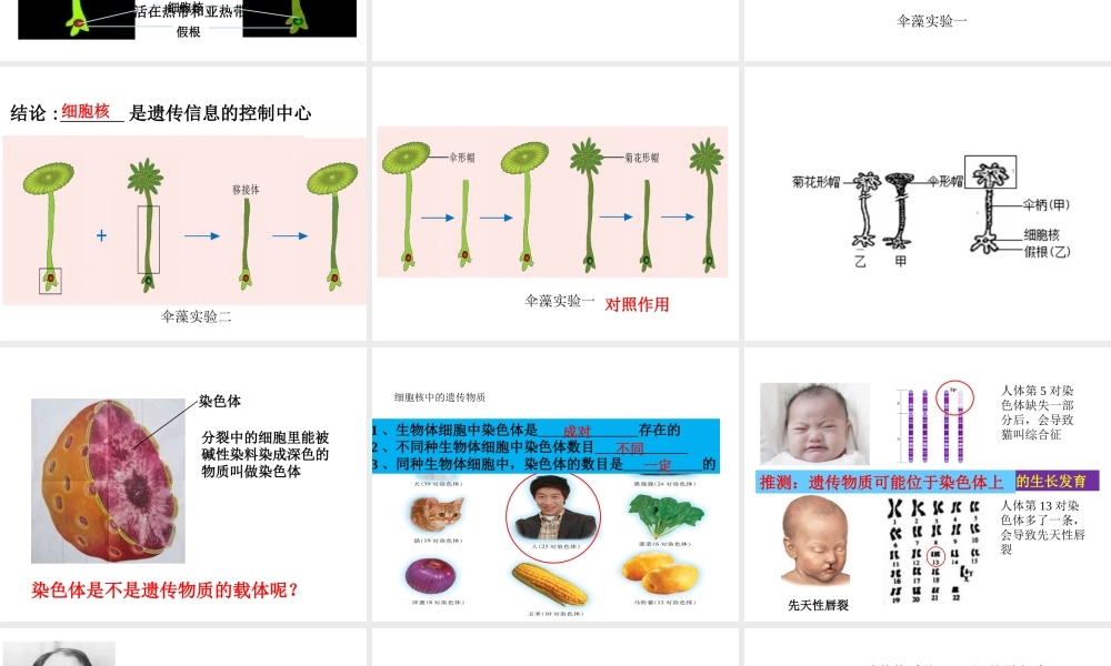 八年级生物下册 第八单元 生物的生殖、发育与遗传 第二十二章 生物的遗传和变异 第一节 DNA是主要的遗传物质课件1（新版）苏教版-（新版）苏教版初中八年级下册生物课件