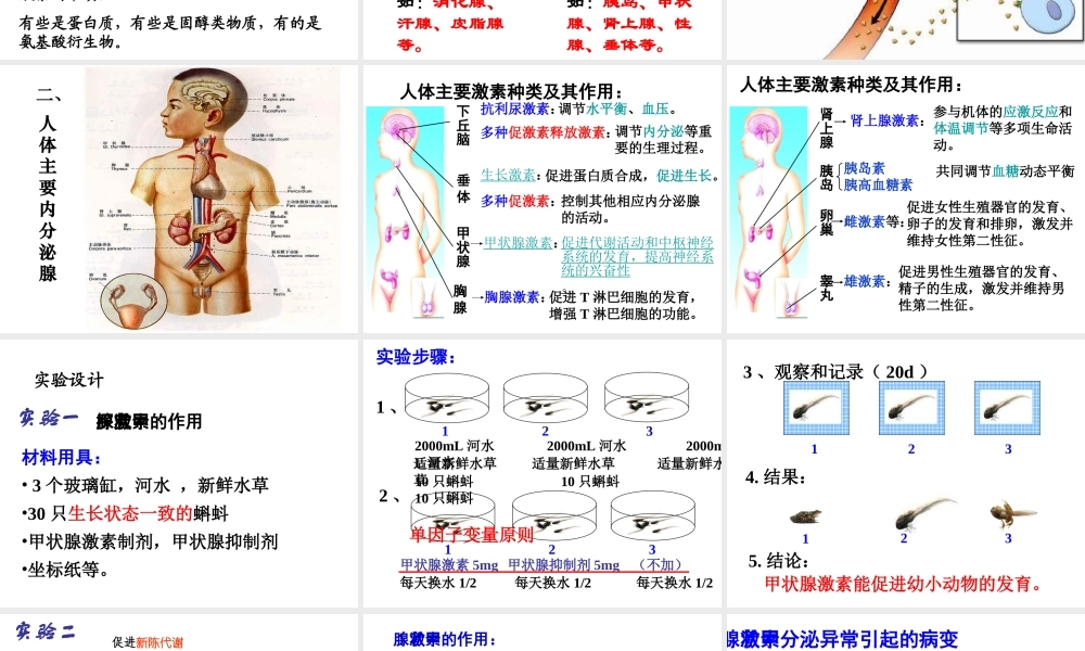 八年级科学上册 3.2 人体的激素调节课件1 浙教版-浙教版初中八年级上册自然科学课件