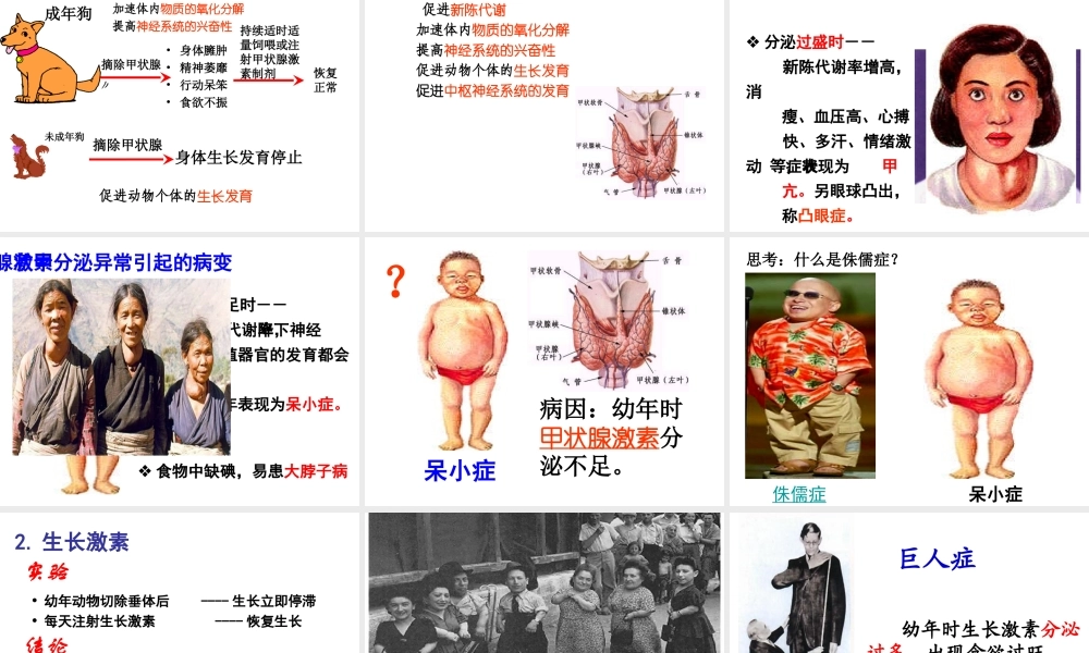 八年级科学上册 3.2 人体的激素调节课件1 浙教版-浙教版初中八年级上册自然科学课件