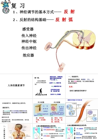 八年级科学上册 3.2 人体的激素调节课件1 浙教版-浙教版初中八年级上册自然科学课件
