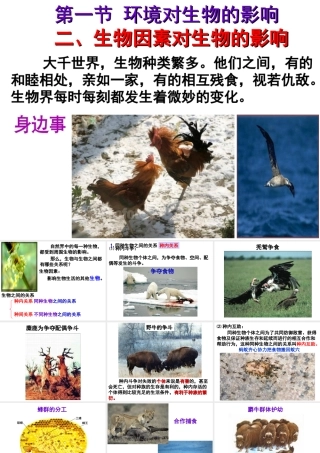 八年级生物下册 第7单元 第1章 第1节 环境对生物的影响 生物因素对生物的影响课件 （新版）冀教版-（新版）冀教版初中八年级下册生物课件