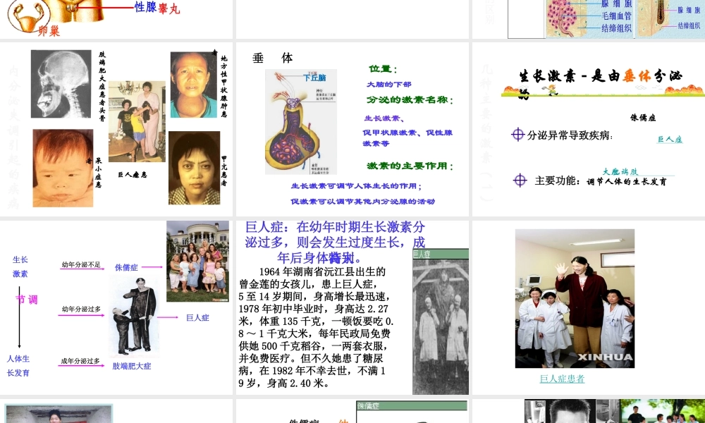 八年级科学上册 3.2 人体的激素调节课件2 浙教版-浙教版初中八年级上册自然科学课件