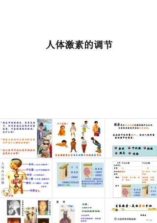 八年级科学上册 3.2 人体的激素调节课件2 浙教版-浙教版初中八年级上册自然科学课件
