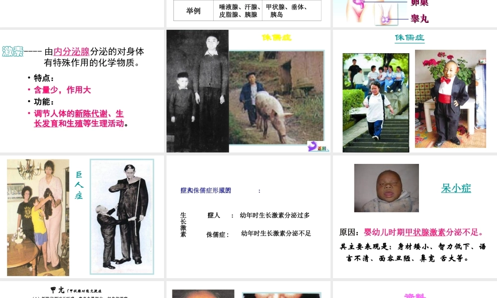 八年级科学上册 3.2 人体的激素调节课件3 浙教版-浙教版初中八年级上册自然科学课件