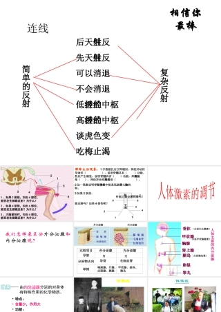 八年级科学上册 3.2 人体的激素调节课件3 浙教版-浙教版初中八年级上册自然科学课件