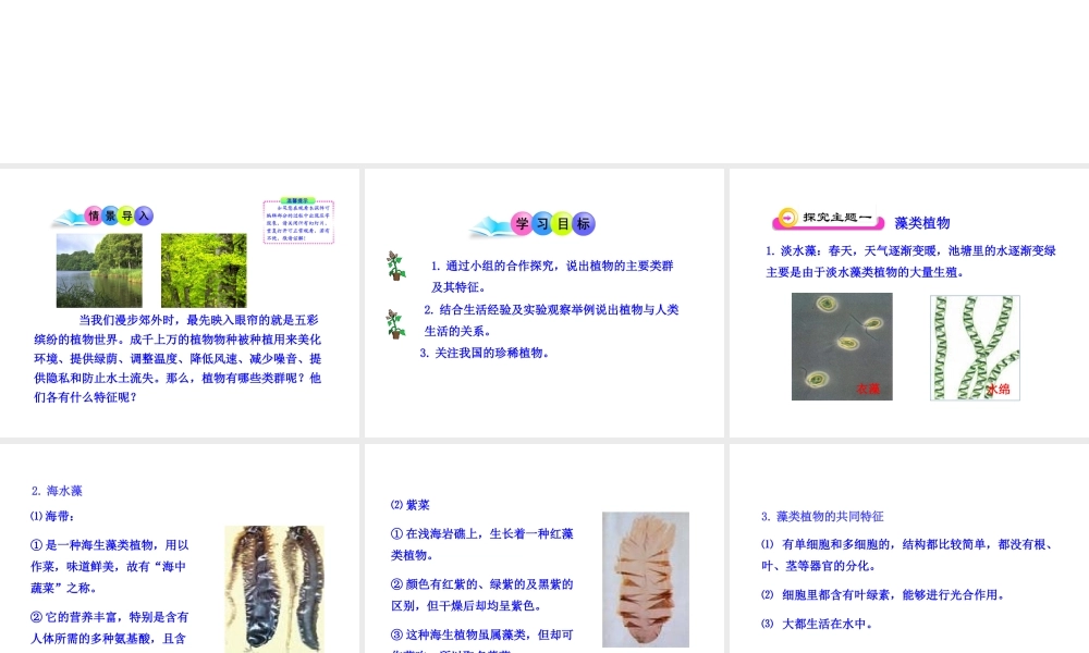 八年级生物下册 第9单元 第22章 第二节 五彩缤纷的植物世界课件 苏教版