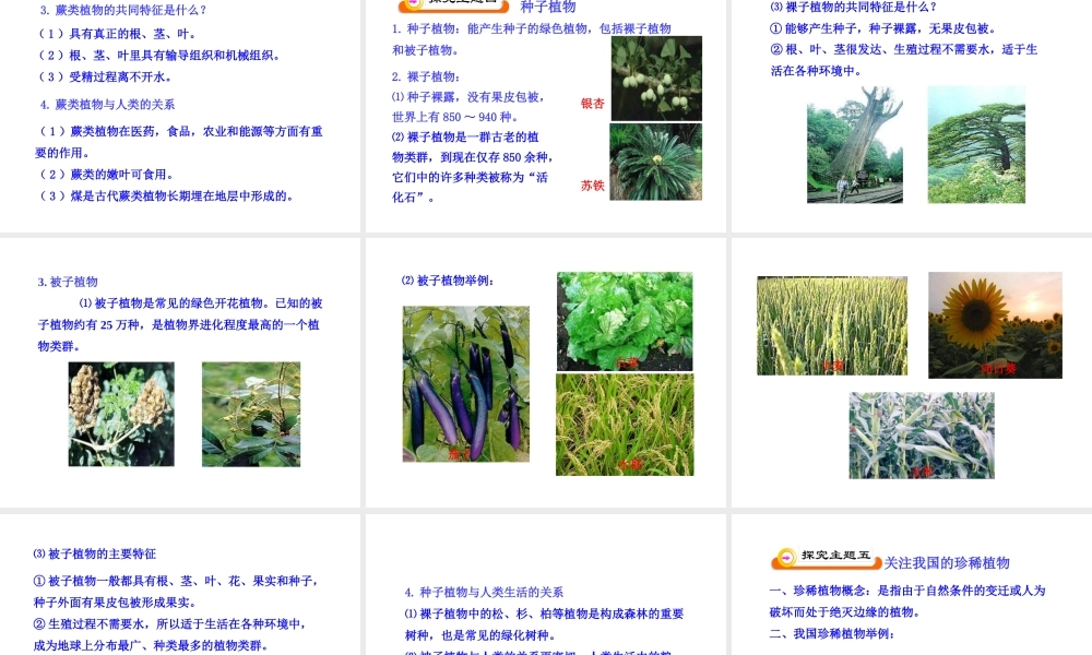 八年级生物下册 第9单元 第22章 第二节 五彩缤纷的植物世界课件 苏教版