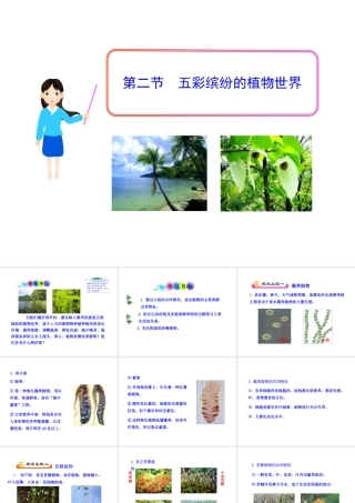 八年级生物下册 第9单元 第22章 第二节 五彩缤纷的植物世界课件 苏教版