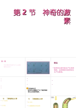 八年级科学上册 3.2神奇的激素课件 浙教版