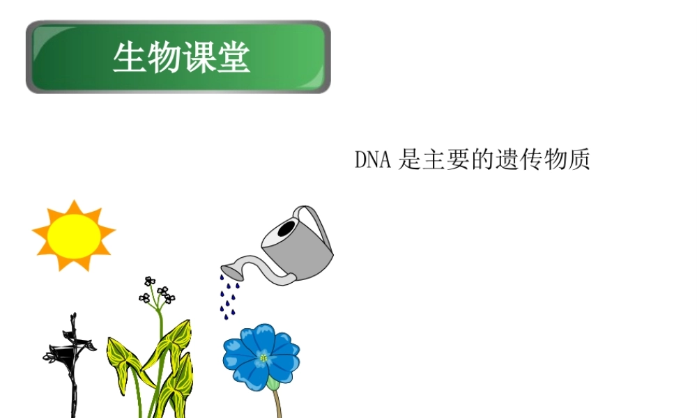 八年级生物下册 第八单元 生物的生殖、发育与遗传 第二十二章 生物的遗传和变异 第一节 DNA是主要的遗传物质课件2（新版）苏教版-（新版）苏教级下册生物课件