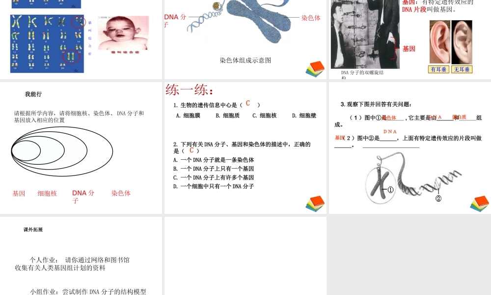 八年级生物下册 第八单元 生物的生殖、发育与遗传 第二十二章 生物的遗传和变异 第一节 DNA是主要的遗传物质课件2（新版）苏教版-（新版）苏教级下册生物课件