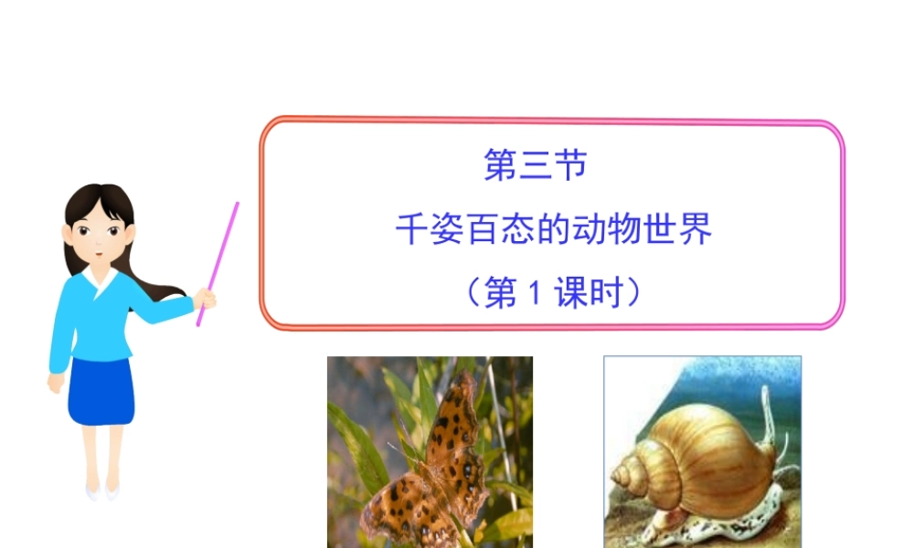 八年级生物下册 第9单元 第22章 第三节 千姿百态的动物世界（第1课时）课件 苏教版