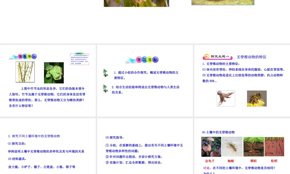 八年级生物下册 第9单元 第22章 第三节 千姿百态的动物世界（第1课时）课件 苏教版