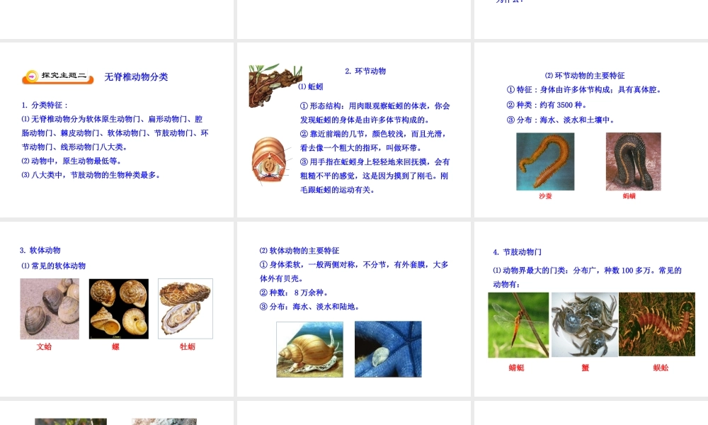 八年级生物下册 第9单元 第22章 第三节 千姿百态的动物世界（第1课时）课件 苏教版