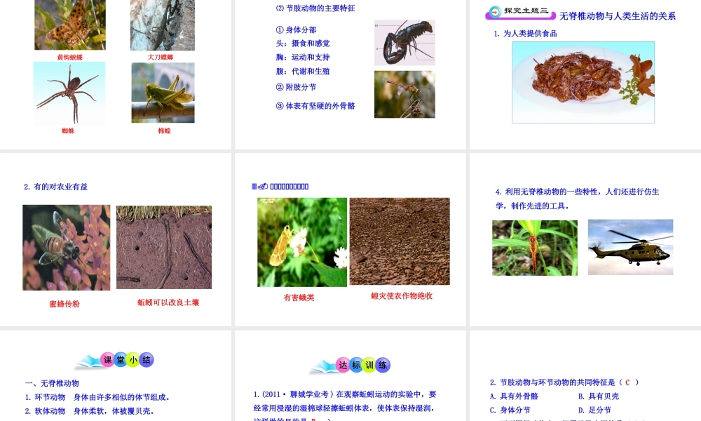 八年级生物下册 第9单元 第22章 第三节 千姿百态的动物世界（第1课时）课件 苏教版