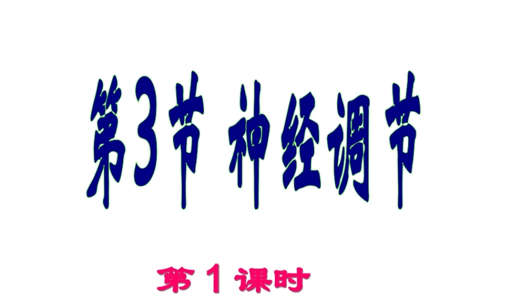 八年级科学上册 3.3 神经调节（第1课时）课件 浙教版