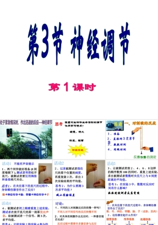 八年级科学上册 3.3 神经调节（第1课时）课件 浙教版