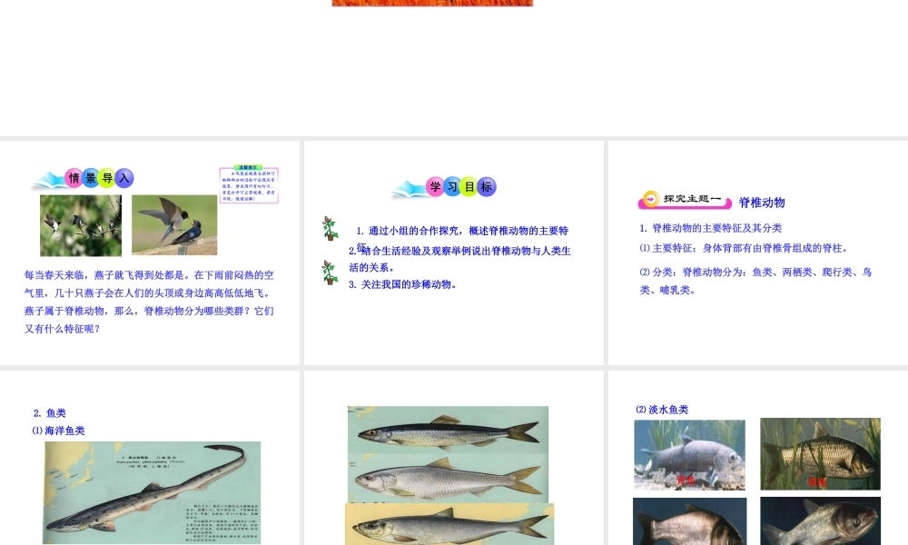 八年级生物下册 第9单元 第22章 第三节 千姿百态的动物世界（第2课时）课件 苏教版