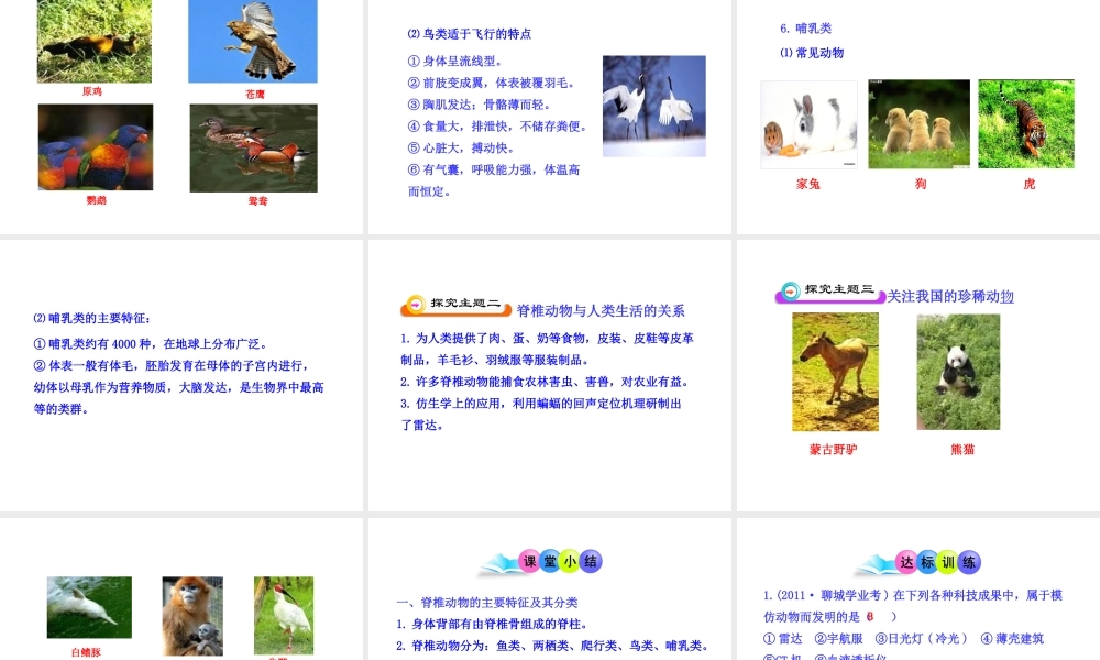 八年级生物下册 第9单元 第22章 第三节 千姿百态的动物世界（第2课时）课件 苏教版