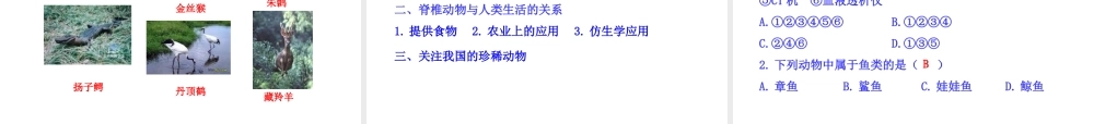 八年级生物下册 第9单元 第22章 第三节 千姿百态的动物世界（第2课时）课件 苏教版