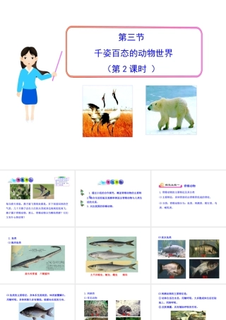 八年级生物下册 第9单元 第22章 第三节 千姿百态的动物世界（第2课时）课件 苏教版