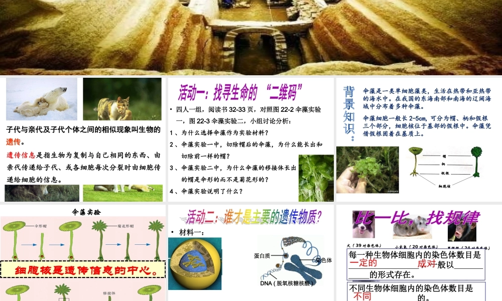 八年级生物下册 第八单元 生物的生殖、发育与遗传 第二十二章 生物的遗传和变异 第一节 DNA是主要的遗传物质课件3（新版）苏教版-（新版）苏教级下册生物课件