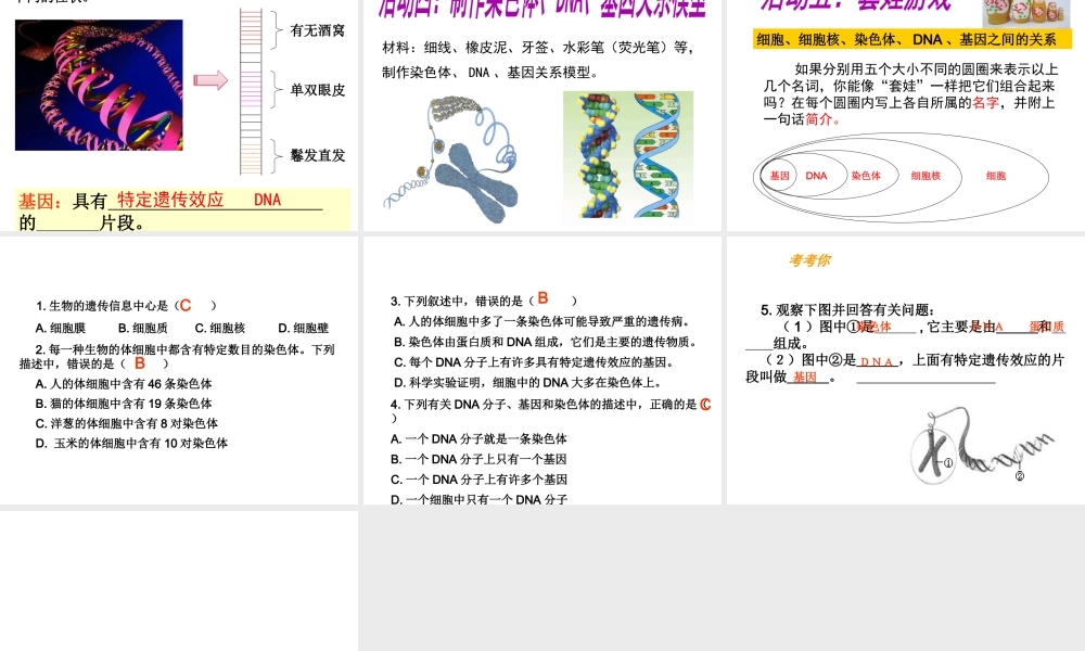 八年级生物下册 第八单元 生物的生殖、发育与遗传 第二十二章 生物的遗传和变异 第一节 DNA是主要的遗传物质课件3（新版）苏教版-（新版）苏教级下册生物课件