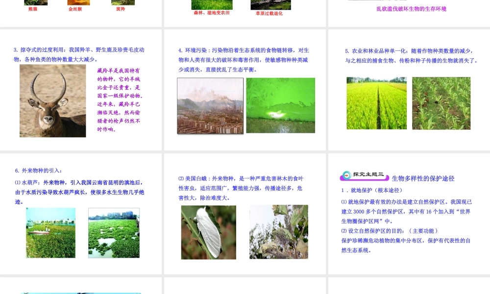 八年级生物下册 第9单元 第23章 第二节 保护生物多样性的艰巨使命课件 苏教版