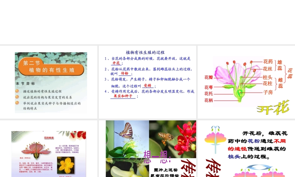 八年级生物下册 第八单元 生物的生殖、发育与遗传 第二十一章 生物的生殖与发育 第二节 植物的有性生殖课件（新版）苏教版-（新版）苏教版初中八年级下册生物课件