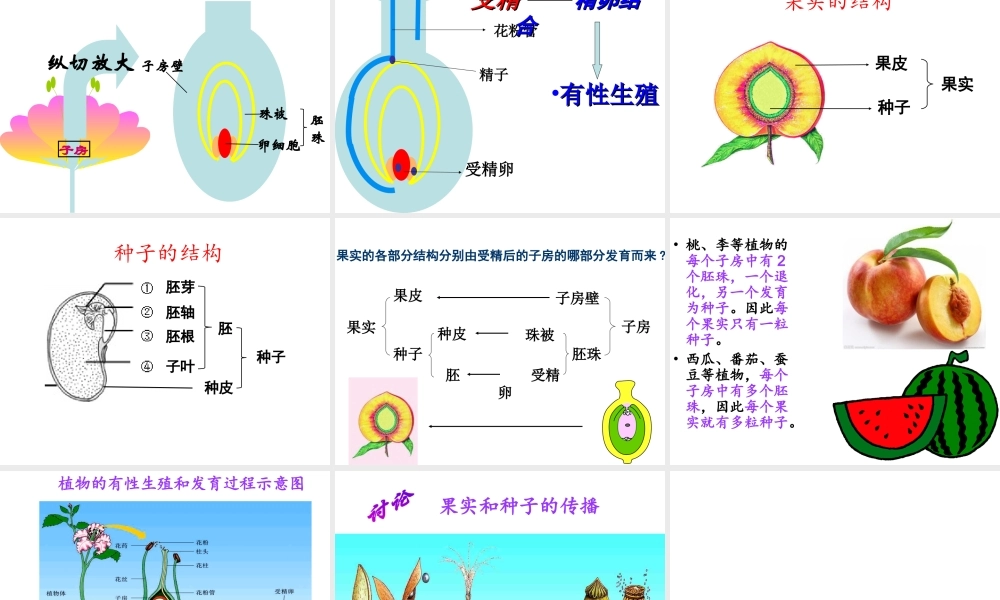 八年级生物下册 第八单元 生物的生殖、发育与遗传 第二十一章 生物的生殖与发育 第二节 植物的有性生殖课件（新版）苏教版-（新版）苏教版初中八年级下册生物课件