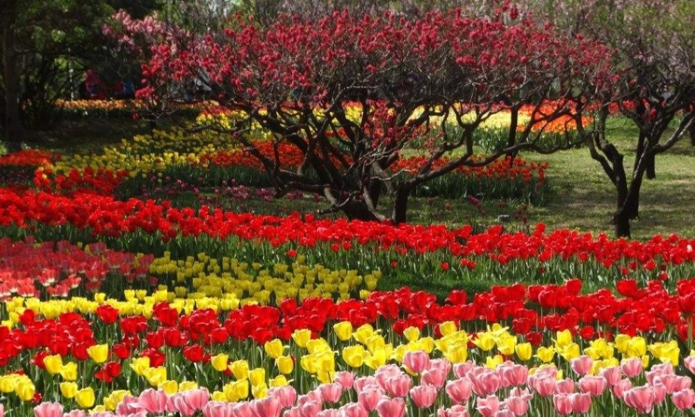 八年级生物下册 第八单元 生物的生殖、发育与遗传 第二十一章 生物的生殖与发育 第三节 昆虫的生殖与发育课件1（新版）苏教版-（新版）苏教版初中八年级下册生物课件