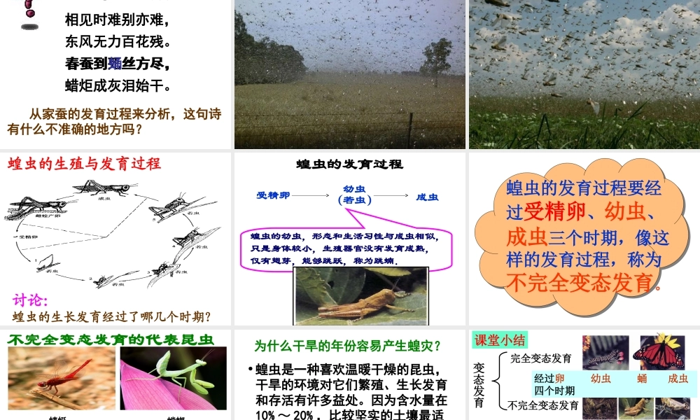 八年级生物下册 第八单元 生物的生殖、发育与遗传 第二十一章 生物的生殖与发育 第三节 昆虫的生殖与发育课件1（新版）苏教版-（新版）苏教版初中八年级下册生物课件
