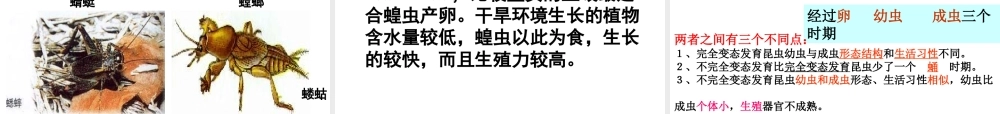 八年级生物下册 第八单元 生物的生殖、发育与遗传 第二十一章 生物的生殖与发育 第三节 昆虫的生殖与发育课件1（新版）苏教版-（新版）苏教版初中八年级下册生物课件