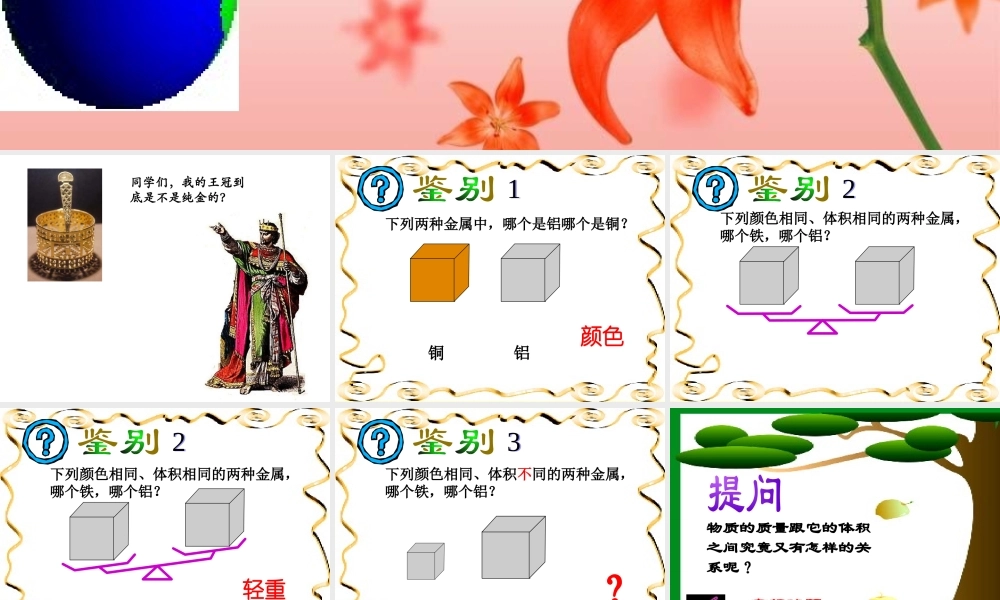 八年级科学上册 第3章 第1节 密度课件3 （新版）华东师大版-（新版）华东师大版初中八年级上册自然科学课件