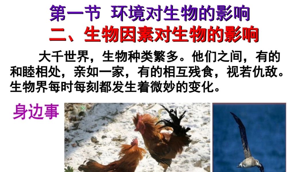八年级生物下册 第7单元 第1章 第1节 环境对生物的影响 生物因素对生物的影响课件 （新版）冀教版-（新版）冀教级下册生物课件