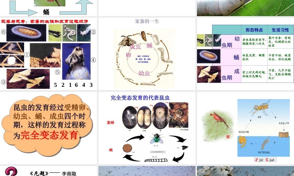 八年级生物下册 第八单元 生物的生殖、发育与遗传 第二十一章 生物的生殖与发育 第三节 昆虫的生殖与发育课件1（新版）苏教版-（新版）苏教级下册生物课件